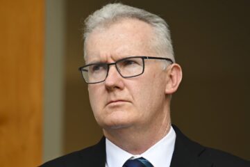 Australians should be ‘concerned’ about Tony Burke’s ‘unusual’ meeting about ISIS brides